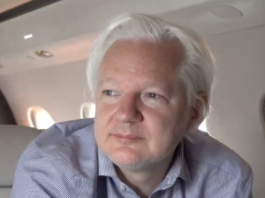 WikiLeaks founder Julian Assange