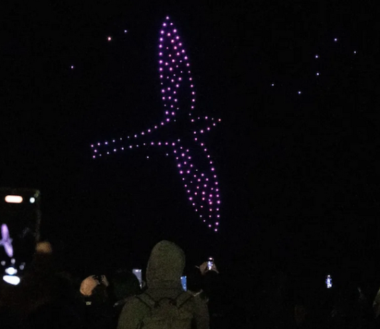 Thousands headed to the Rotorua lakefront to watch the Aronui Indigenous Arts Festival Matariki drone show