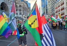 Pacific flags - Kanaky, West Papua and others - at today's Palestine solidarity march in downtown Auckland