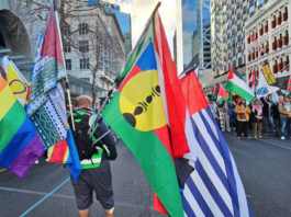 Pacific flags - Kanaky, West Papua and others - at today's Palestine solidarity march in downtown Auckland