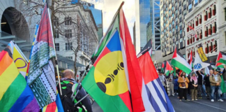 Pacific flags - Kanaky, West Papua and others - at today's Palestine solidarity march in downtown Auckland