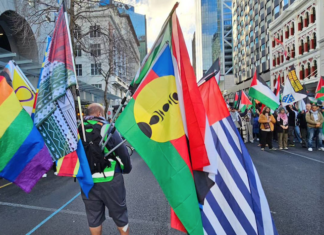 Pacific flags - Kanaky, West Papua and others - at today's Palestine solidarity march in downtown Auckland