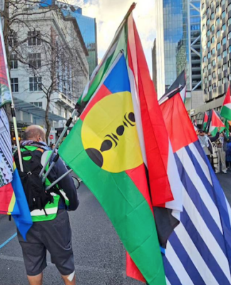 Pacific flags - Kanaky, West Papua and others - at today's Palestine solidarity march in downtown Auckland