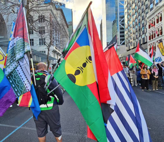 Pacific flags - Kanaky, West Papua and others - at today's Palestine solidarity march in downtown Auckland