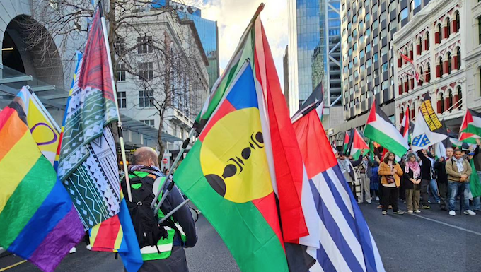 Pacific flags - Kanaky, West Papua and others - at today's Palestine solidarity march in downtown Auckland