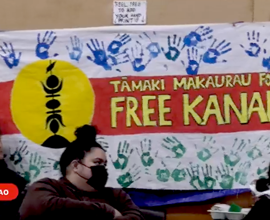 A "Free Kanaky" banner at an anticolonialism solidarity rally for independence from France