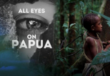 "All Eyes on Papua" . . . a campaign against Indonesian exploitation of Papuan rainforests