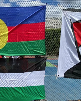 From Kanaky to Palestine, how Paris is weaponising deportations from Pacific A Kanaky prison parallel with Palestine