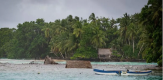 Housing structures on FSM's remote atoll Kapingamarangi