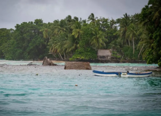 Housing structures on FSM's remote atoll Kapingamarangi