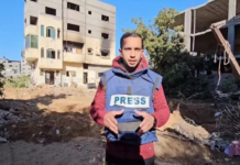 Al Jazeera's northern Gaza reporter Anas al-Sharif