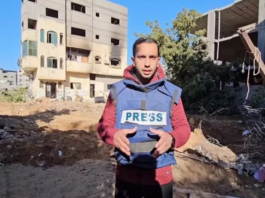 Al Jazeera's northern Gaza reporter Anas al-Sharif
