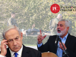 By killing the top Palestinian negotiator, Israel delivered a final and decisive message that Israel remains invested in violence, and in nothing else.