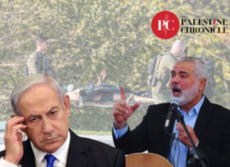 By killing the top Palestinian negotiator, Israel delivered a final and decisive message that Israel remains invested in violence, and in nothing else.