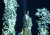 Momentum is growing against the "destructive" deep sea mining industry