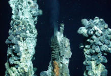 Momentum is growing against the "destructive" deep sea mining industry