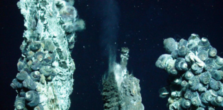 Momentum is growing against the "destructive" deep sea mining industry