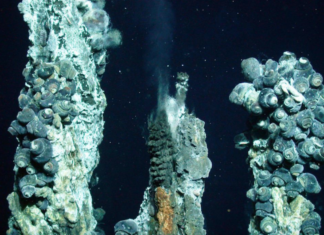 Momentum is growing against the "destructive" deep sea mining industry