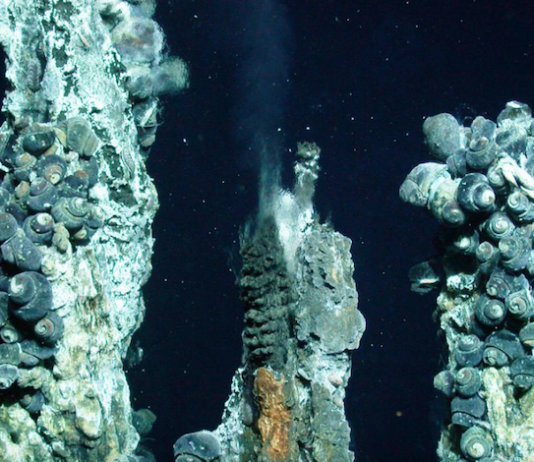 Momentum is growing against the "destructive" deep sea mining industry