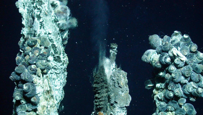 Momentum is growing against the "destructive" deep sea mining industry