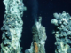 Momentum is growing against the "destructive" deep sea mining industry