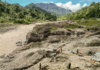 Artisanal miners search for gold in the waters downstream from the Panguna mine