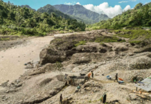 Artisanal miners search for gold in the waters downstream from the Panguna mine