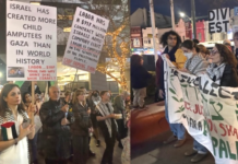 Protesters at a local inner Sydney council meeting