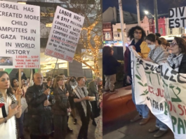 Protesters at a local inner Sydney council meeting