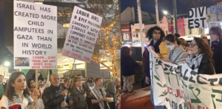 Protesters at a local inner Sydney council meeting