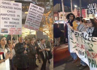 Protesters at a local inner Sydney council meeting