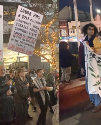 Protesters at a local inner Sydney council meeting
