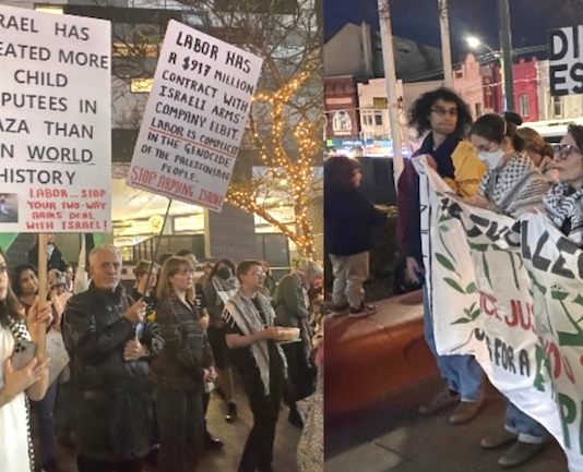 Protesters at a local inner Sydney council meeting
