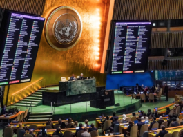 The UN General Assembly