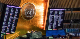 The UN General Assembly