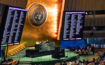 The UN General Assembly