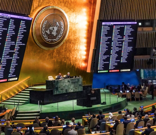 The UN General Assembly