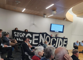 Christchurch citizens hold up a "Stop the genocide" banner before yesterday's council vote