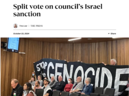 Palestine Solidarity Network Aotearoa (PSNA) national chair John Minto and University of Canterbury lecturer Dr Josephine Varghese speak at the Christchurch City Council meeting today