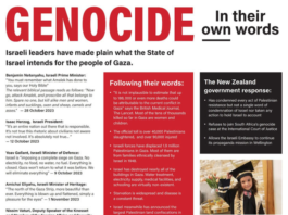 Part of the full page advertisement published by the Christchurch Star