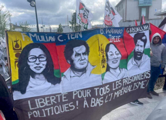 Protesters at Molodoï, Strasbourg, demanding the release of Kanak indigenous political prisoners being detained in France