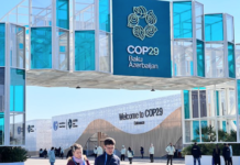 Baku, the capital of Azerbaijan, is hosting about 40,000 COP delegates