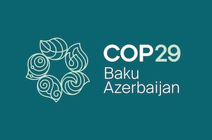 COP29 BAKU, 11-22 November 2024