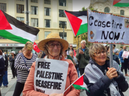 Palestine supporters in Aotearoa New Zealand protesting against the genocide and calling for an immediate ceasefire