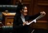 Te Pāti Māori MP Hana-Rawhiti Maipa-Clarke led a haka in Parliament after the first reading of the Treaty Principles Bill