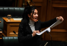 Te Pāti Māori MP Hana-Rawhiti Maipa-Clarke led a haka in Parliament after the first reading of the Treaty Principles Bill