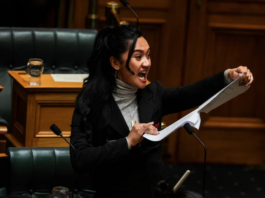 Te Pāti Māori MP Hana-Rawhiti Maipa-Clarke led a haka in Parliament after the first reading of the Treaty Principles Bill