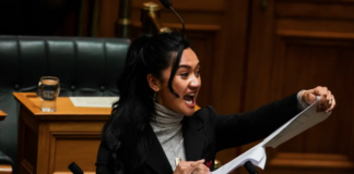 Te Pāti Māori MP Hana-Rawhiti Maipa-Clarke led a haka in Parliament after the first reading of the Treaty Principles Bill