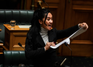 Te Pāti Māori MP Hana-Rawhiti Maipa-Clarke led a haka in Parliament after the first reading of the Treaty Principles Bill