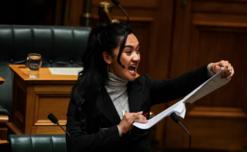 Te Pāti Māori MP Hana-Rawhiti Maipa-Clarke led a haka in Parliament after the first reading of the Treaty Principles Bill